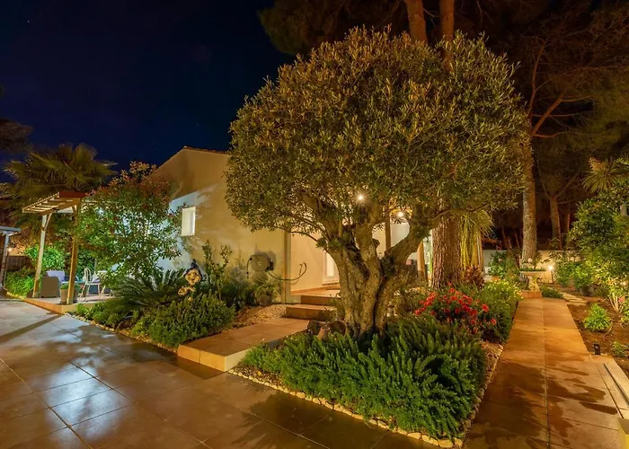 La De L'olivier アグド